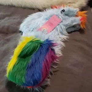 Collector\'s Edition Rainbow Dash SpiritHoods never worn with tags Authentic SpiritHoods RAINBOW DASH MLP Collectors Edition  main image 3